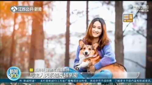 宠物猫怎么和花拍照片