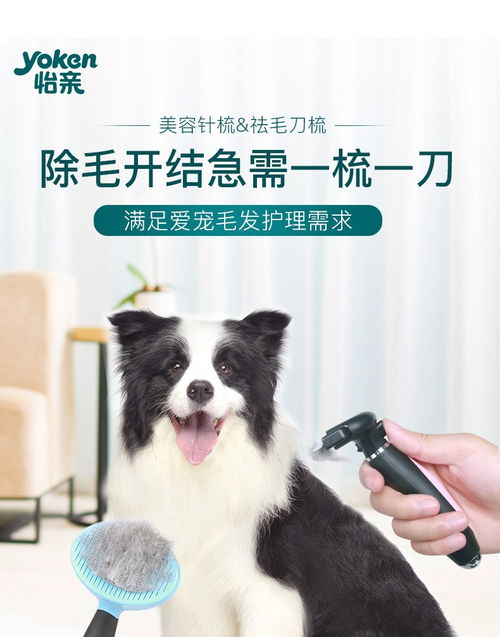 宠物狗的剃毛刀怎么用的