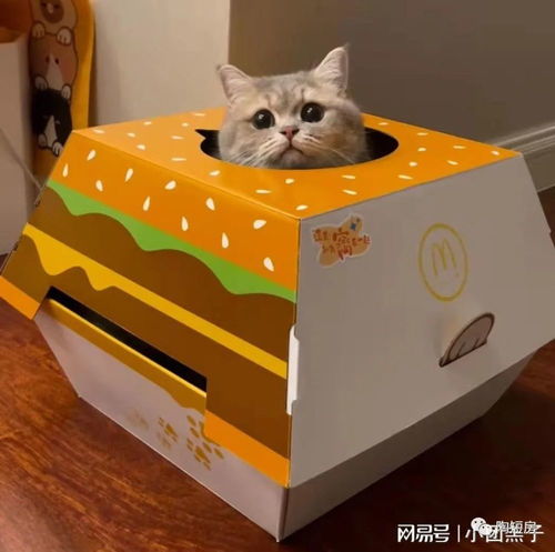 纸盒子宠物狗怎么做好看