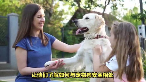 养的宠物狗被咬了怎么办