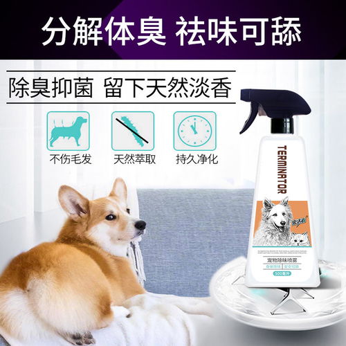 宠物狗祛味喷剂怎么用