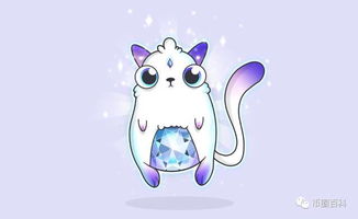 电子宠物猫怎么充电的