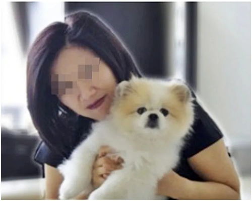 宠物狗病毒感染怎么办