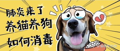 冠状病毒宠物狗怎么办