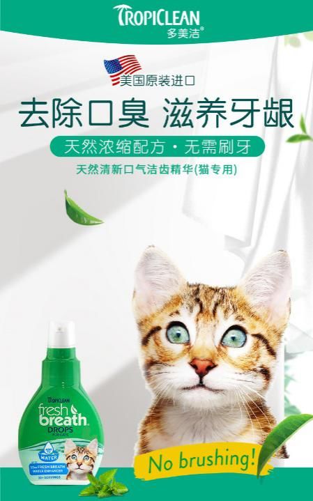 宠物猫怎么洁齿的