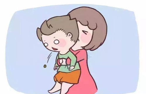 流浪狗咬宠物猫怎么办啊