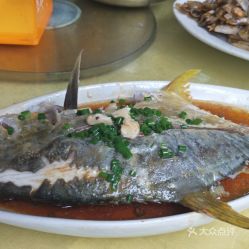 宠物猫食金仓鱼怎么喂好