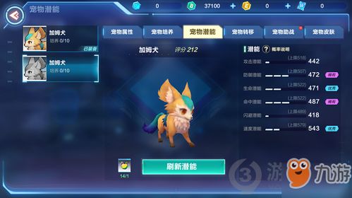 宠物猫属性怎么提高