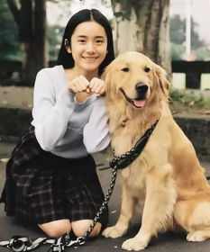 独居女孩宠物狗怎么办呢