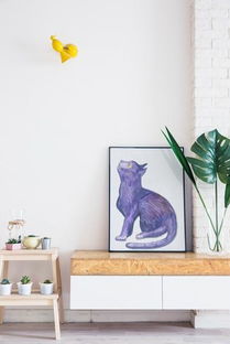 宠物猫挂画怎么挂好呢