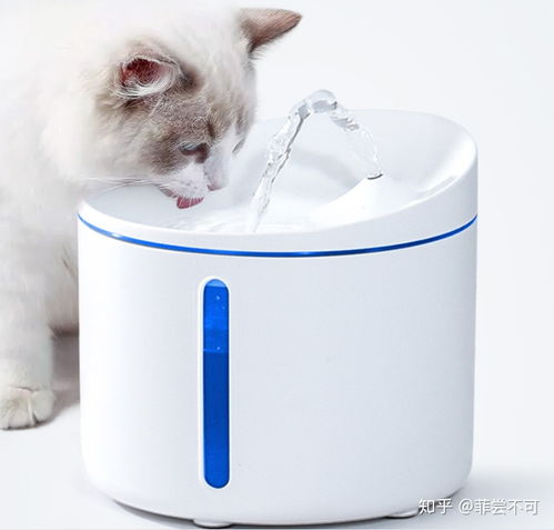 宠物狗自动饮水机怎么做