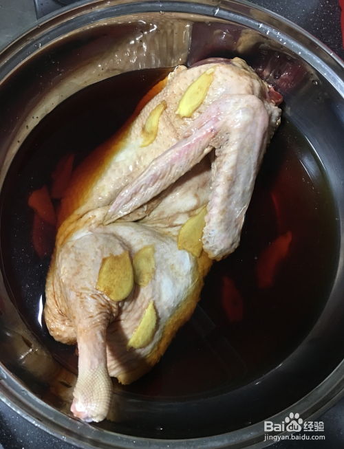 宠物狗吃的鸭肉怎么煮的