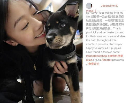 跟宠物狗的合照怎么拍好看