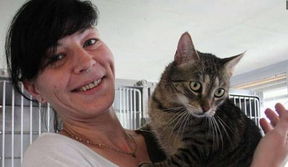 宠物猫丢失怎么报警找到