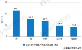 宠物狗的发展前景怎么样