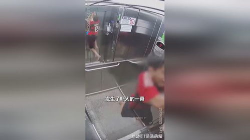 宠物狗被夹扶梯怎么办啊