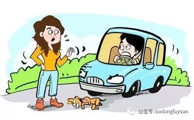 出租车撞伤宠物狗怎么赔