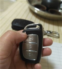 宠物狗拆遥控器怎么拆的