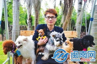 大学生宠物狗怎么弄