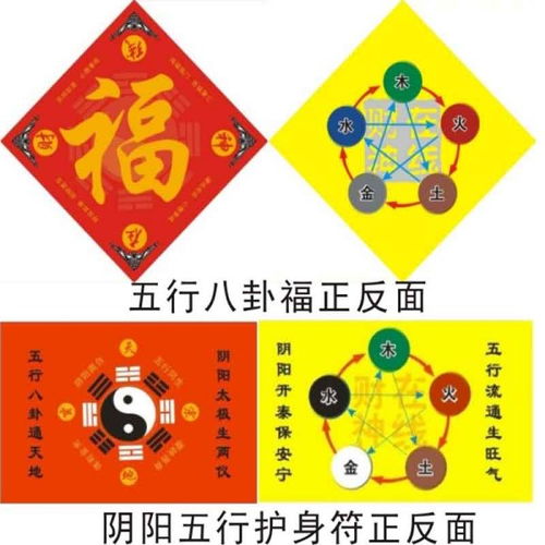 五行八卦宠物狗怎么选