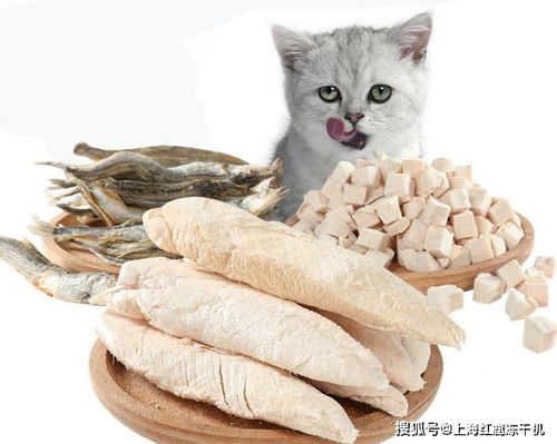 给宠物狗做鸡胸肉怎么做