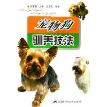 在家不用出门的宠物狗怎么养