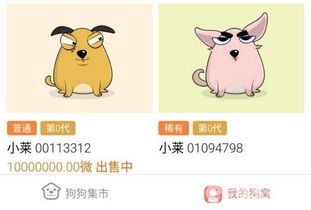 怎么样获得免费宠物狗