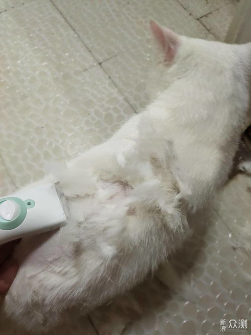 剃毛器宠物猫怎么使用的