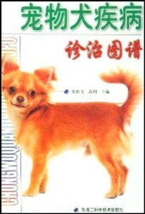 宠物狗得狂犬病怎么治