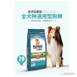 宠物狗怎么让他坐下去呢