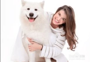 宠物猫家小白兔怎么养的