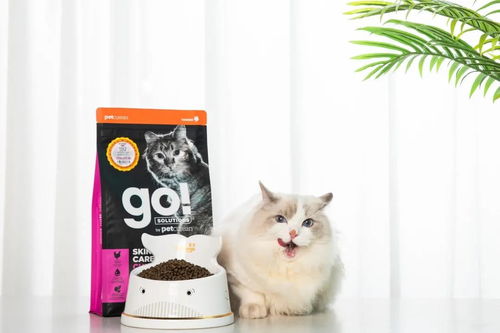 宠物猫粮怎么选择