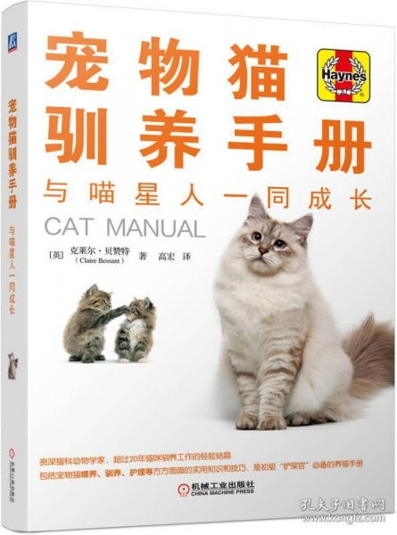 怎么养宠物猫长膘