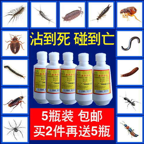 宠物狗虱子药怎么用的啊