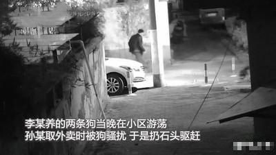 宠物狗下坠砸伤怎么办啊