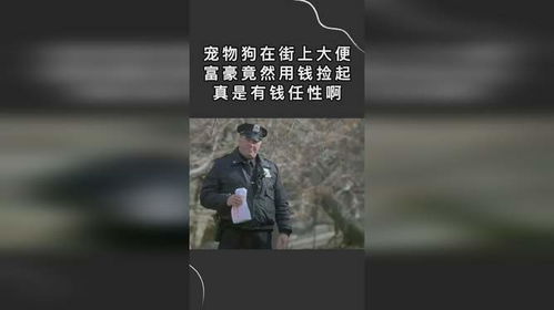 宠物狗在街道上拉屎怎么办
