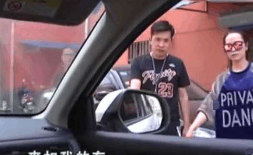 宠物狗撞豪车怎么办啊