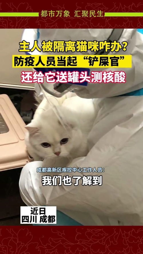 宠物猫怎么测核酸
