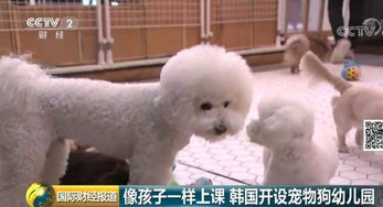 仿真宠物狗娃娃怎么做的