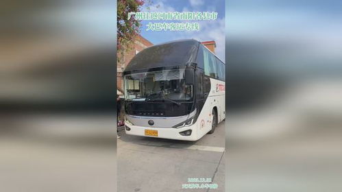 大巴车怎么托运宠物猫