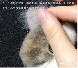 宠物猫毛做毛毡怎么做的