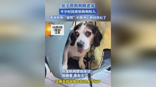 宠物狗回到农村老家怎么办