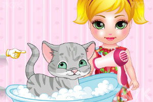 宠物猫宝宝怎么照顾他们