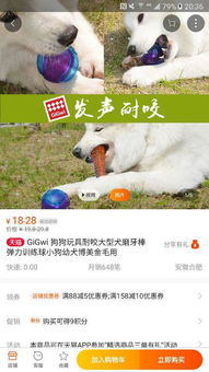 宠物狗骨头磨牙怎么办啊