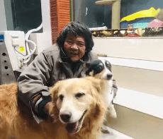 人跟宠物狗的感情怎么样