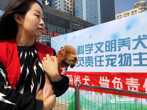 宠物狗被领回家怎么办啊