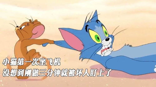 宠物猫怎么带进飞机