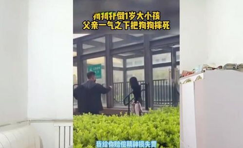 宠物狗吓坏小孩怎么办