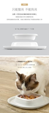 宠物猫用品碗怎么用