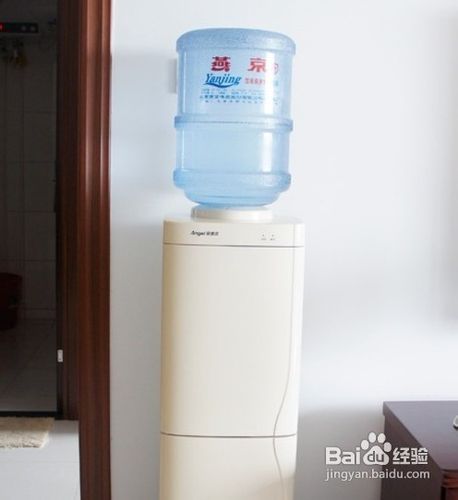 宠物狗家用饮水机怎么用